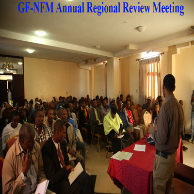 Gf Nfm Annual Regional Review Meeting1
