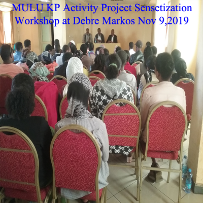 Mulu Debre Markos1