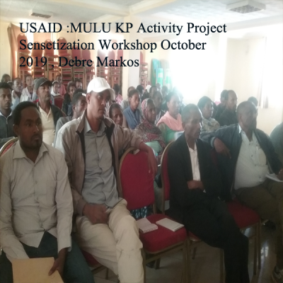 Mulu Debre Markos