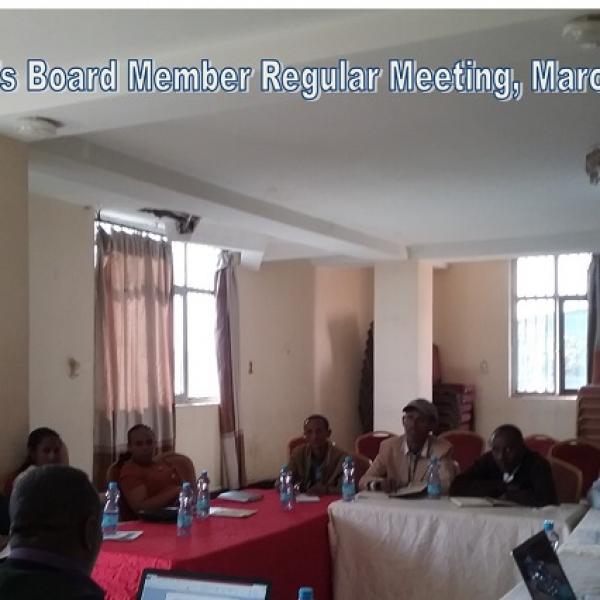 Naphads Board Member Meeting March 2021